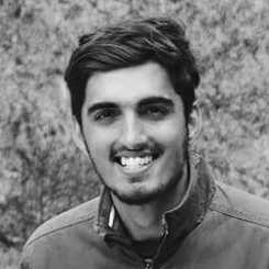 Harish Vishnoi