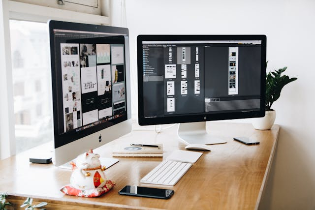 Graphic Design Schools: Where Creativity Meets Technique